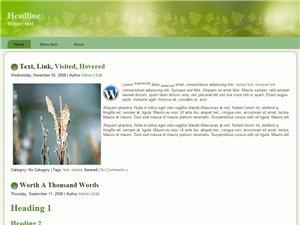 Wordpress Theme  26
